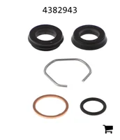 AGCO 4382943 Ремонтный комплект