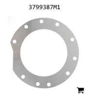 AGCO 3799387M1 Регулировочная шайба