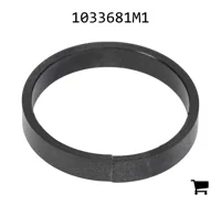 AGCO 1033681M1 Кольцо