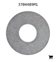 AGCO 3704489M1 Шайба