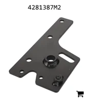 AGCO 4281387M2 Левый поворотный кулак