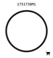 AGCO 1751738M1 Уплотнительное кольцо
