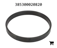 AGCO 385300020820 Обойма