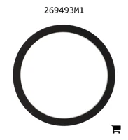 AGCO 269493M1 Кольцо