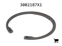 AGCO 3002187X1 Стопорное кольцо
