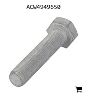 AGCO ACW4949650 Болт с шестигранной головкой
