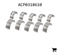 AGCO ACP0318610 Комплект подшипников