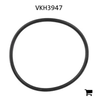 AGCO VKH3947 Уплотнительное кольцо