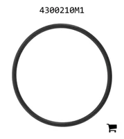 AGCO 4300210M1 Уплотнительное кольцо