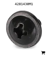 AGCO 4281430M1 Винт