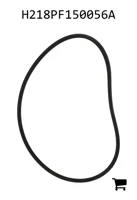 AGCO H218PF150056A Уплотнительная шайба