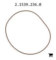 AGCO 2.1539.236.0 Уплотнительное кольцо