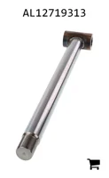 AGCO AL12719313 Поршневой шток