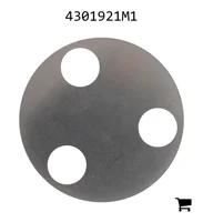 AGCO 4301921M1 Шайба