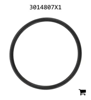AGCO 3014807X1 Уплотнительное кольцо