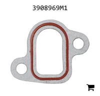 AGCO 3908969M1 Прокладка