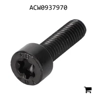 AGCO ACW0937970 Установочный винт с шестигранной головкой