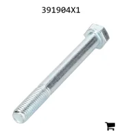 AGCO 391904X1 Болт с шестигранной головкой