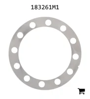 AGCO 183261M1 Шайба