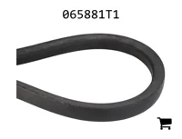 AGCO 065881T1 Ремень