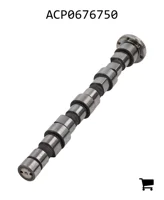 AGCO ACP0676750 Распредвал