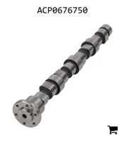 AGCO ACP0676750 Распредвал