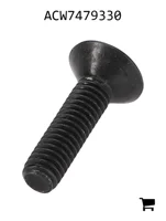 AGCO ACW7479330 Винт с плоской головкой