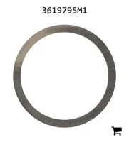 AGCO 3619795M1 Регулировочная шайба