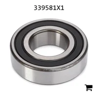 AGCO 339581X1 Шариковый подшипник