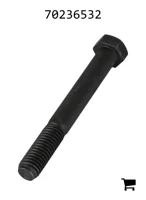 AGCO 70236532 Винт