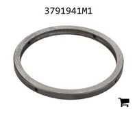 AGCO 3791941M1 Регулировочная шайба
