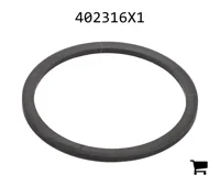 AGCO 402316X1 Опорное кольцо