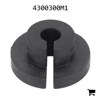 AGCO 4300300M1 Прокладка