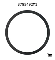 AGCO 3785492M1 Шайба