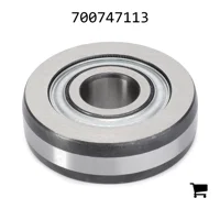AGCO 700747113 Роликовый подшипник