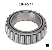 AGCO 1B-6577 Конус