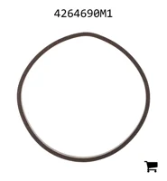 AGCO 4264690M1 Уплотнение