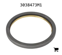 AGCO 3038473M1 Скребок