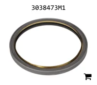 AGCO 3038473M1 Скребок