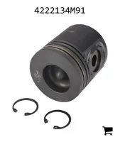 AGCO 4222134M91 Поршень