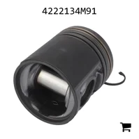 AGCO 4222134M91 Поршень