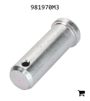 AGCO 981970M3 Палец