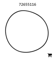 AGCO 72655116 Уплотнительное кольцо
