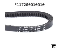 AGCO F117200010010 Ремень клиновой
