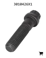 AGCO 3010426X1 Винт с 12-гранной головкой с фланцем