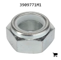 AGCO 3909771M1 Гайка