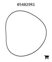 AGCO 054029R1 Уплотнительное кольцо