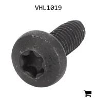 AGCO VHL1019 Винт