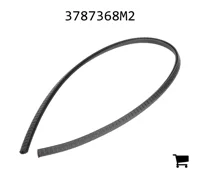 AGCO 3787368M2 Прокладка