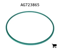 AGCO AG723865 Комплект сальников